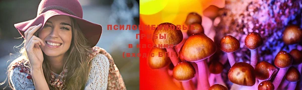 бошки Верхний Тагил