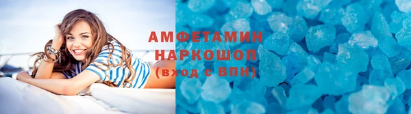 стаф Тайга