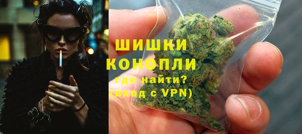 гашик Тавда