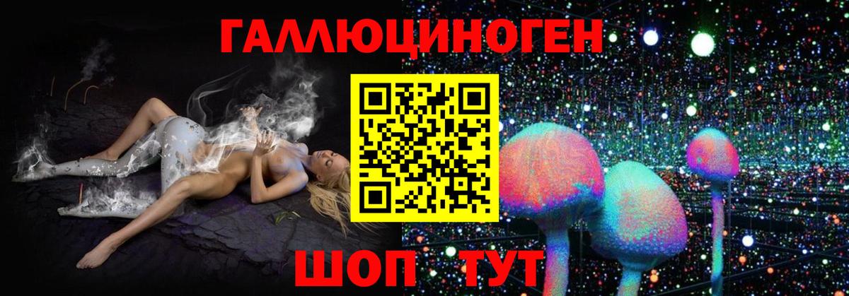 Мончегорск  Галлюциногенные грибы MAGIC MUSHROOMS  Вход с VPN 