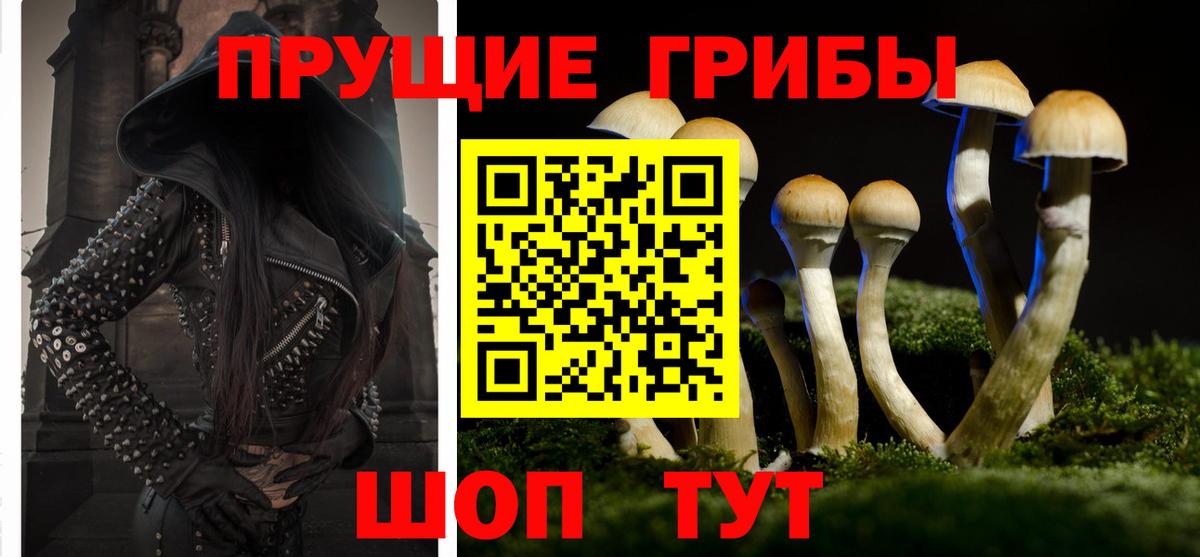 Галлюциногенные грибы Cubensis Мончегорск