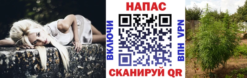 darknet клад  Мончегорск  МАРИХУАНА тримм 